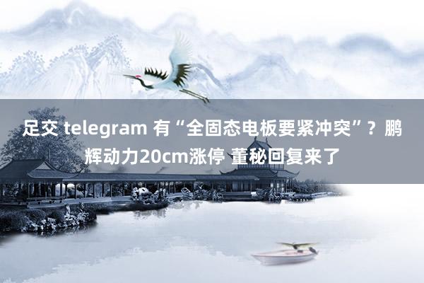 足交 telegram 有“全固态电板要紧冲突”？鹏辉动力20cm涨停 董秘回复来了