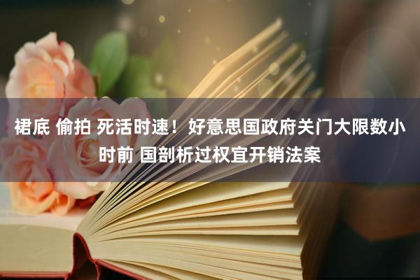 裙底 偷拍 死活时速！好意思国政府关门大限数小时前 国剖析过权宜开销法案