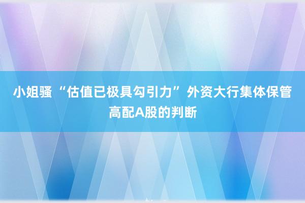 小姐骚 “估值已极具勾引力” 外资大行集体保管高配A股的判断