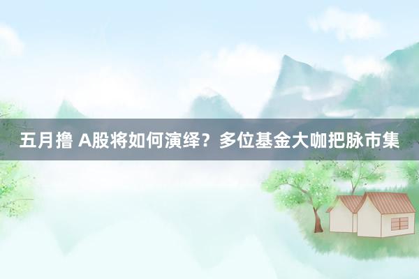 五月撸 A股将如何演绎？多位基金大咖把脉市集