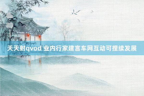 天天射qvod 业内行家建言车网互动可捏续发展