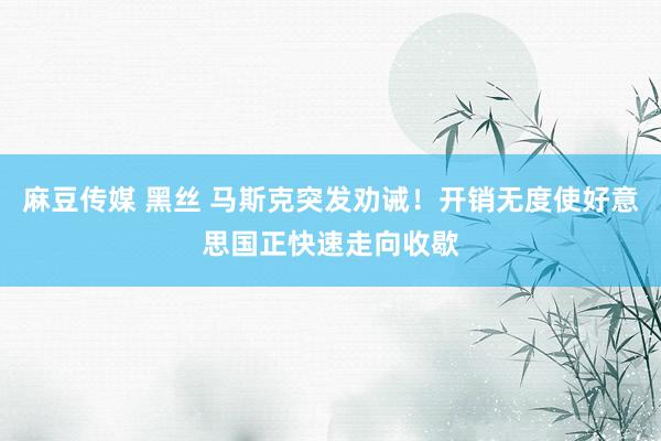 麻豆传媒 黑丝 马斯克突发劝诫！开销无度使好意思国正快速走向收歇