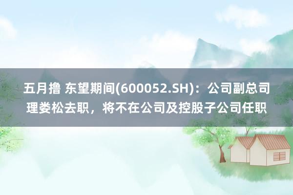 五月撸 东望期间(600052.SH)：公司副总司理娄松去职，将不在公司及控股子公司任职