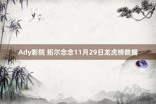 Ady影院 拓尔念念11月29日龙虎榜数据