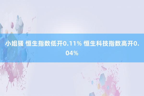 小姐骚 恒生指数低开0.11% 恒生科技指数高开0.04%