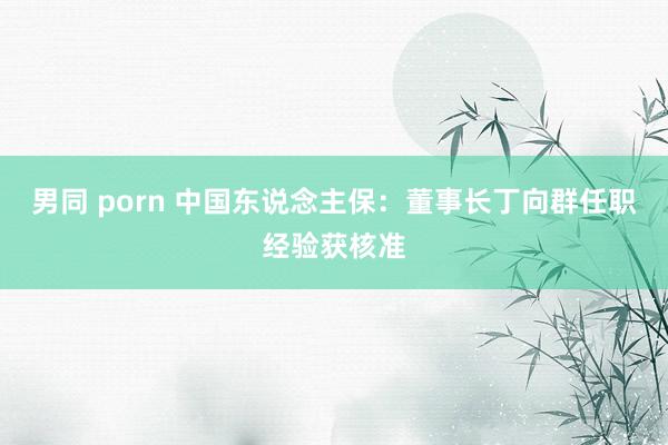 男同 porn 中国东说念主保：董事长丁向群任职经验获核准