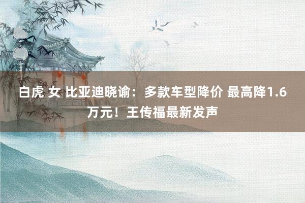 白虎 女 比亚迪晓谕：多款车型降价 最高降1.6万元！王传福最新发声